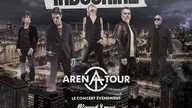 Indochine : Arena Tour, le concert événement
