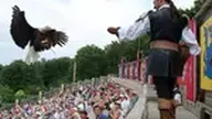 Puy du Fou : les secrets du parc d'attraction préféré des Français