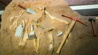 Momies d'Egypte, en quête d'immortalité