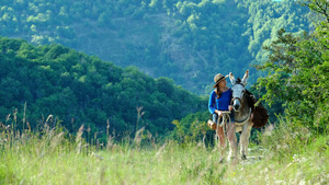 Antoinette dans les Cévennes