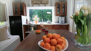 Tiny House : mini maison sur mesure S2 (1/19)