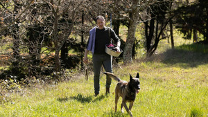 Le voyageur *2019 (La forêt perchée) S2 (n°6)