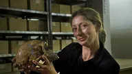 Quand Homo sapiens peupla la planète (Europe, la rencontre avec Neandertal) S1 (4/5)