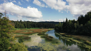 Sale temps pour la planète (Jura, un massif sous pression) S19 (n°1)