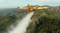 Le monde de Jamy (Incendies, réchauffement, surexploitation : comment sauver nos forêts ?) (n°35)