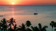 Thalassa, aventures extrêmes (Bahamas, le royaume des requins) S2