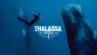 Thalassa, aventures extrêmes (Mayotte, le lagon de l'espoir) S2