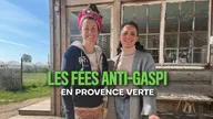 Les fées anti-gaspi, en Provence verte