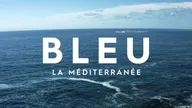 Bleu, un océan de solutions