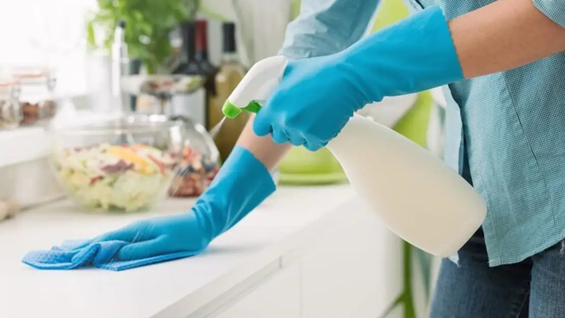 Cleaners les experts du ménage