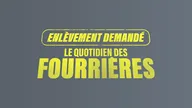 Enlèvement demandé : le quotidien des fourrières