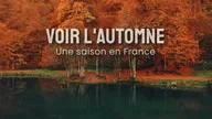 Voir l'automne, une saison en France