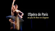 L'Opéra de Paris, un pas de deux en Guyane