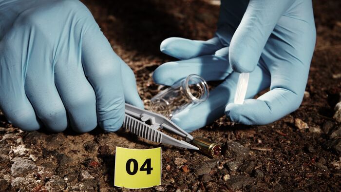 Chroniques criminelles