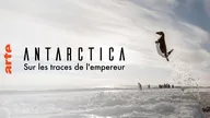 Antarctica, sur les traces de l'empereur