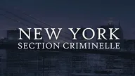 New York, section criminelle