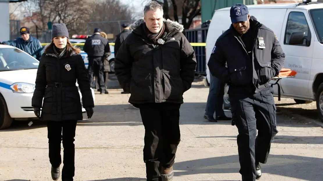 New York, section criminelle