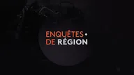 Enquêtes de région