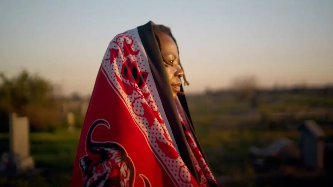 L'Afrique du Sud et la fin de l'apartheid