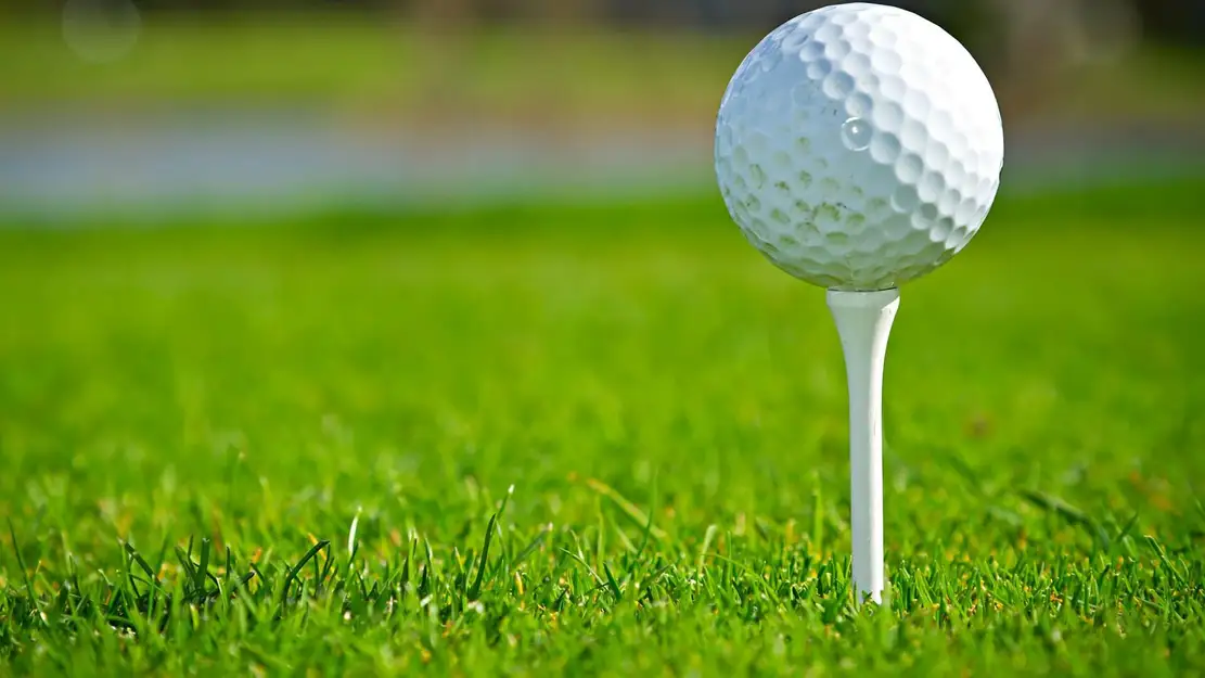 Golf : Open de McKinney