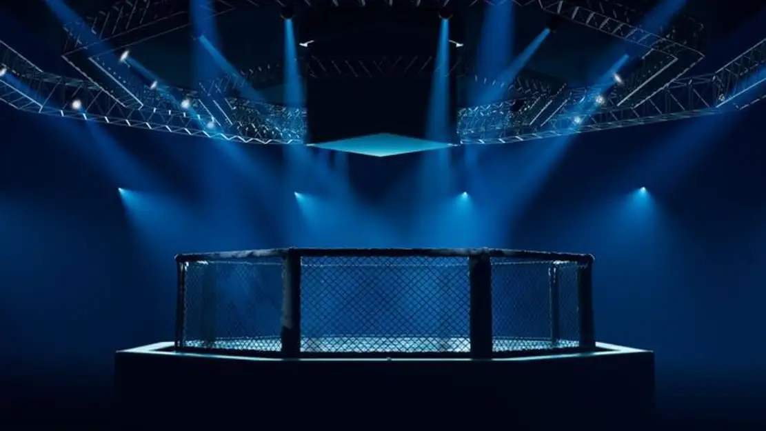 MMA : UFC Classiques
