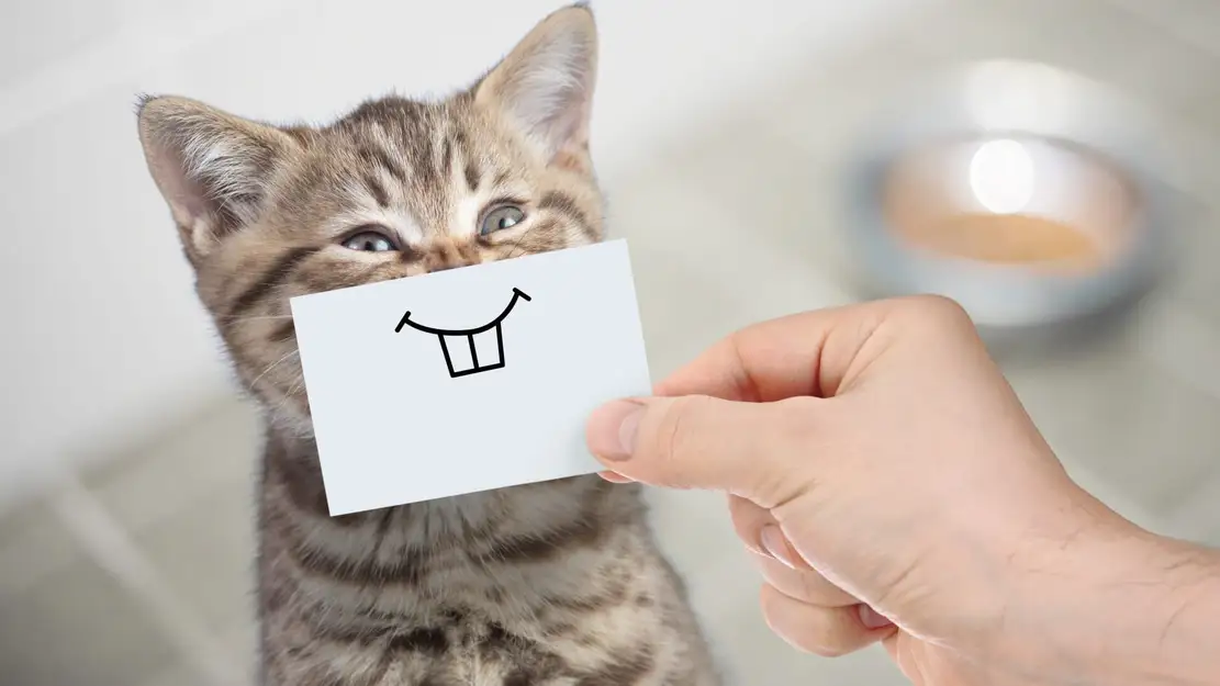 Le grand bêtisier des animaux