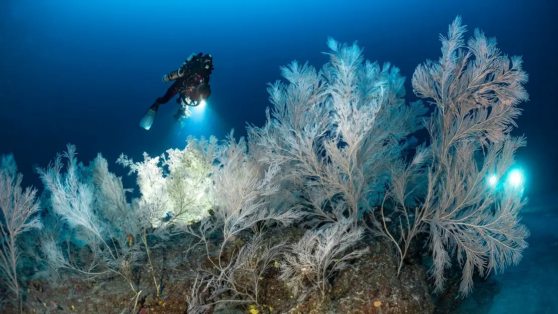 Cap Corse : Le mystère des anneaux
