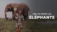 Une vie parmi les éléphants