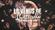 La Vénus de Botticelli, naissance d'une icône