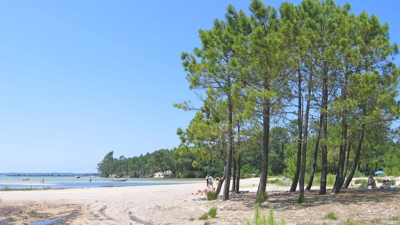 Vive le camping