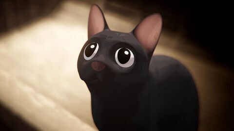Flow, le chat qui n'avait plus peur de l'eau