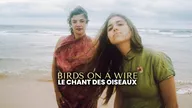 Birds on a Wire - Le Chant des oiseaux