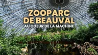 ZooParc de Beauval : au coeur de la machine