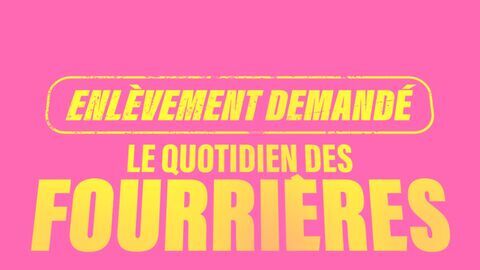 Enlèvement demandé : le quotidien des fourrières