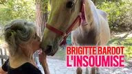 Brigitte Bardot l'insoumise