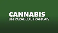 Cannabis, le paradoxe français