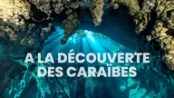 A la découverte des Caraïbes