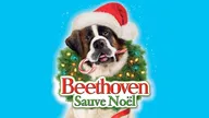 Beethoven sauve Noël