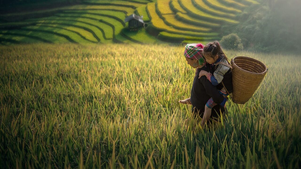 Vietnam, la naissance d'une nation