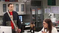 Big Bang Theory