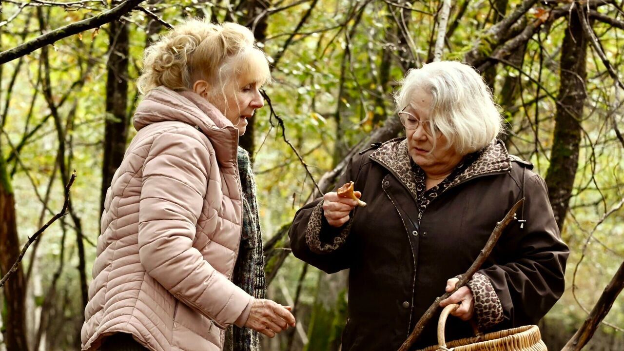 Quand vient l'automne