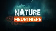 Nature meurtrière