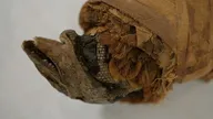 Momies d'Egypte, en quête d'immortalité