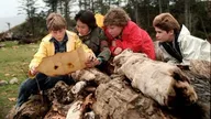 Les Goonies