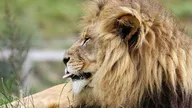 100 jours avec les animaux du Pal : le plus grand zoo d'Auvergne