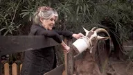 Brigitte Bardot, le serment fait aux animaux