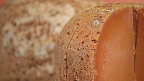 Les fromages du Nord gardent le cap