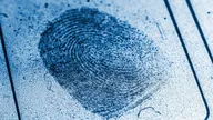 Chroniques criminelles