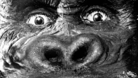 King Kong, le coeur des ténèbres