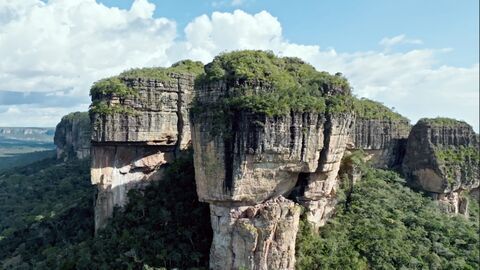 Les secrets des fresques d'Amazonie
